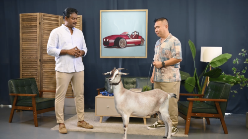 Pinnacle Automotive